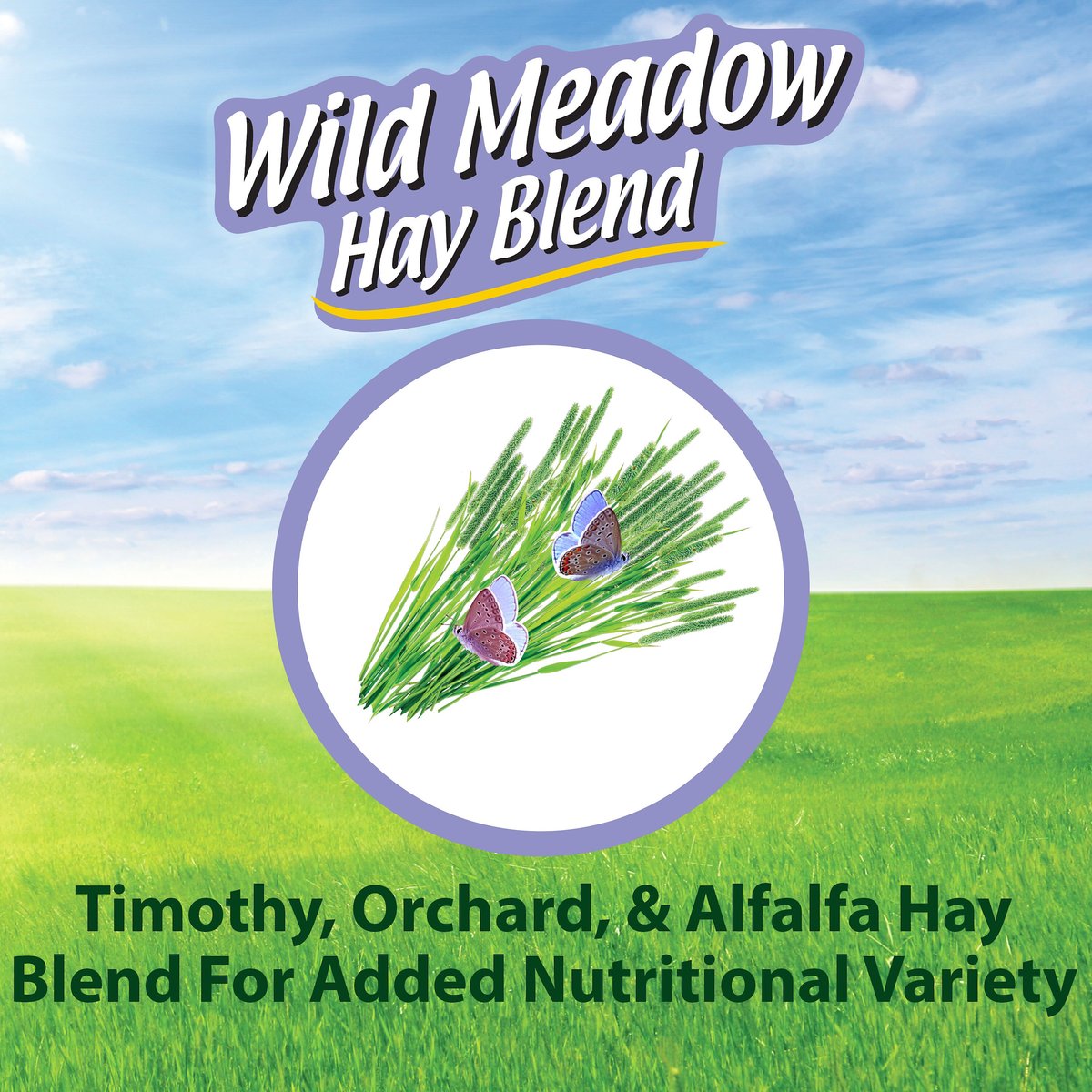 Kaytee Wild Meadow Hay Blend Rabbit Food， 24-oz bag