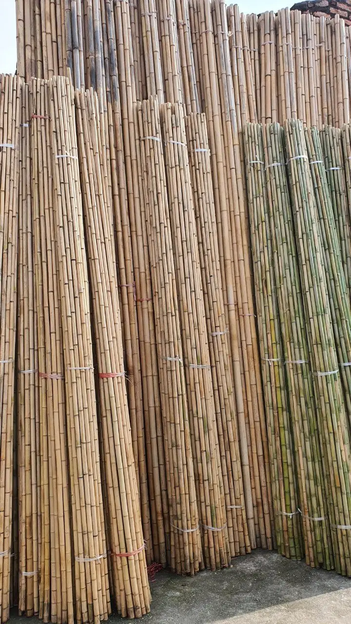 100% Natural Bamboo Poles Vietnam Bamboo Canes for Sale in Large Quantities Bamboo Canes for Garden Supplies