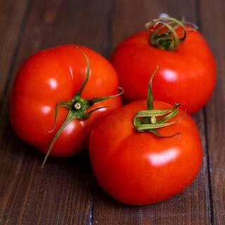 BONNIE PLANTS HARVEST SELECT 25 oz. Stellar Tomato Plant 715339321749