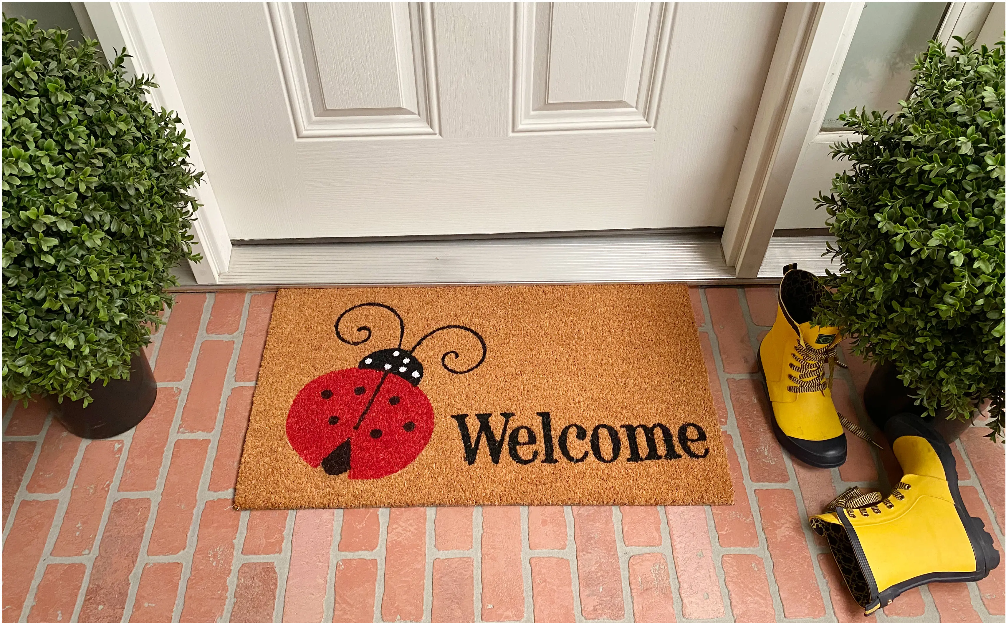 Ladybug Welcome Doormat