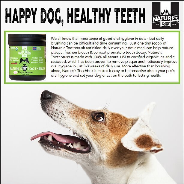 Nature's Diet Toothbrush Systemic Plaque Remover Dry Dog Food Topping， 14.8-oz jar