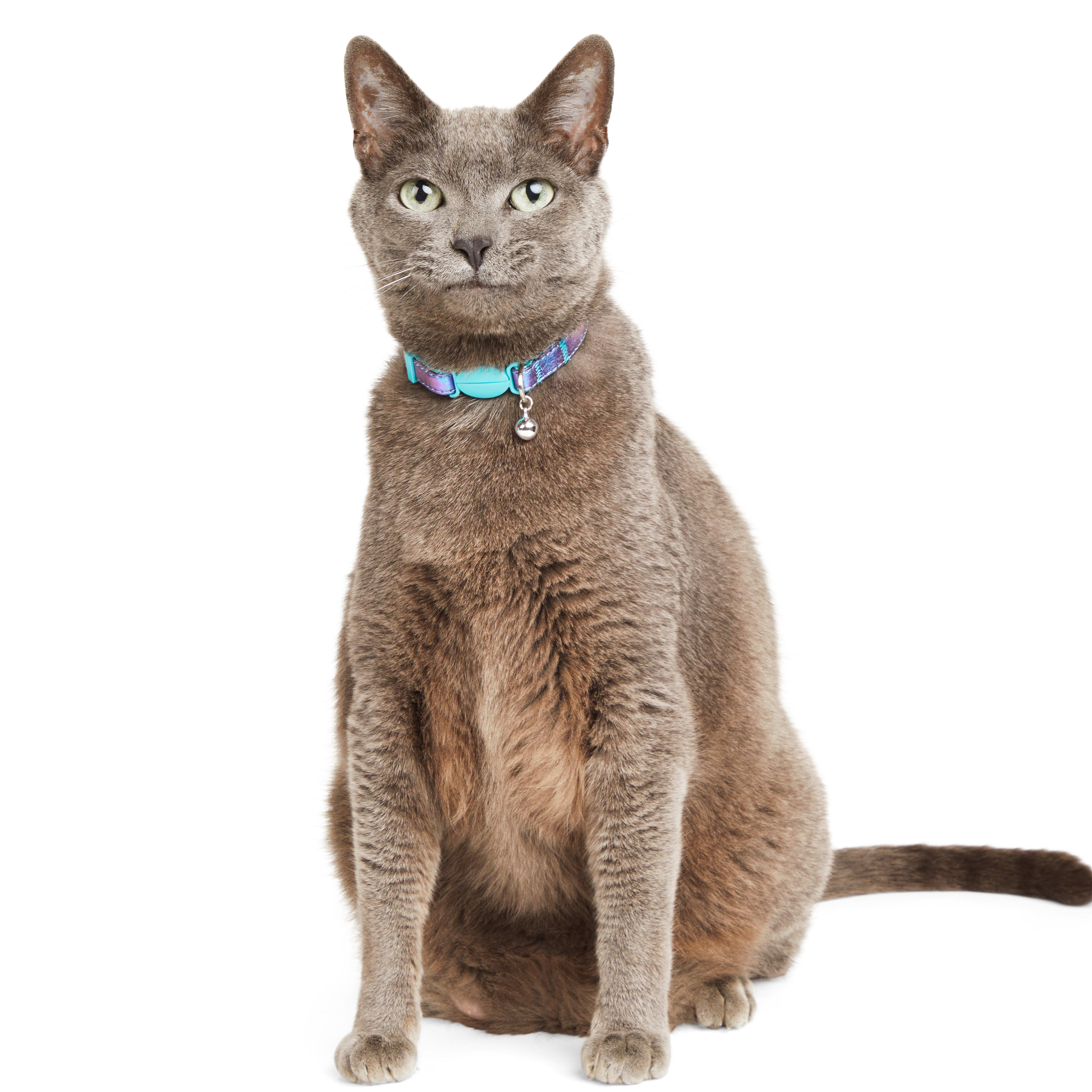 YOULY Iridescent Cat Collar