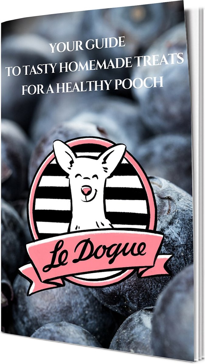 Le Dogue Dog Paws and Bones Silicone Baking Molds with Recipe Booklet， 2-pack