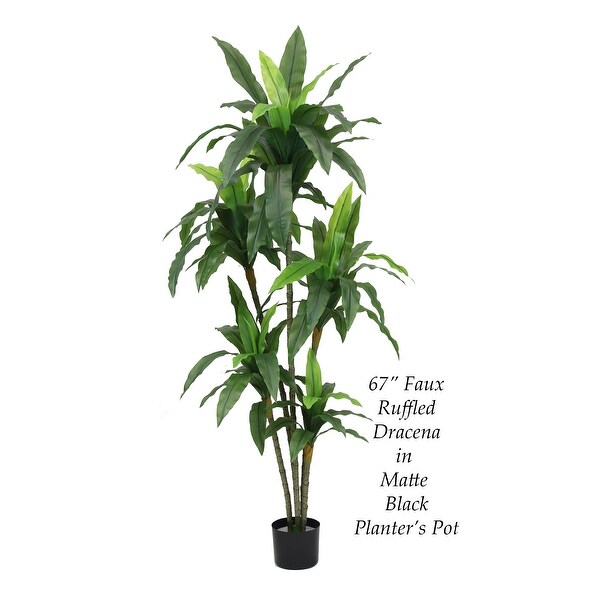 The Mod Greenhouse Artificial Dracaena Plant in Black Matte Planter's Pot