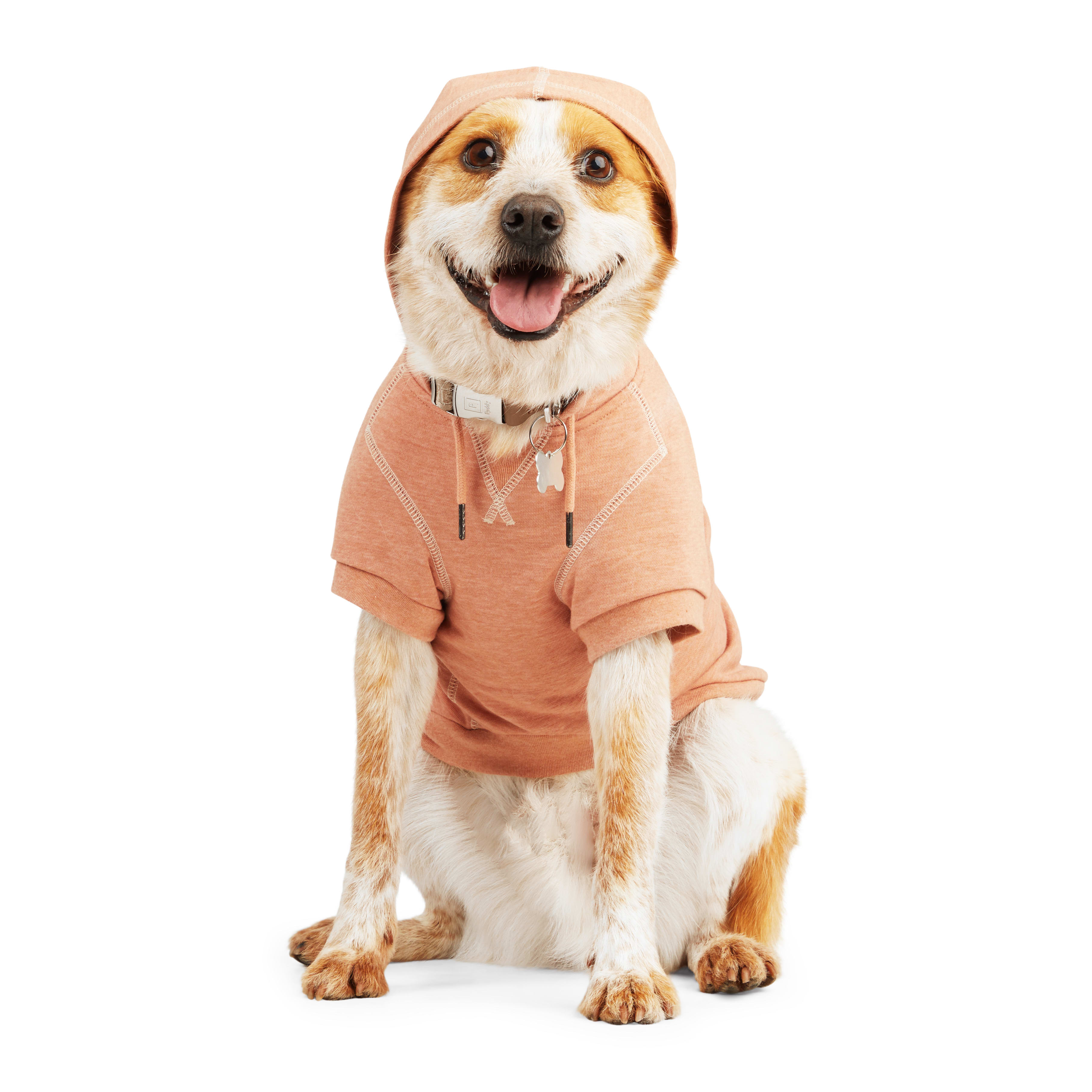 Reddy Copper BFF Dog Hoodie， X-Small