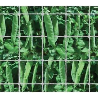 Dalen 5 ft. x 15 ft. Nylon Trellis Netting TP-15C