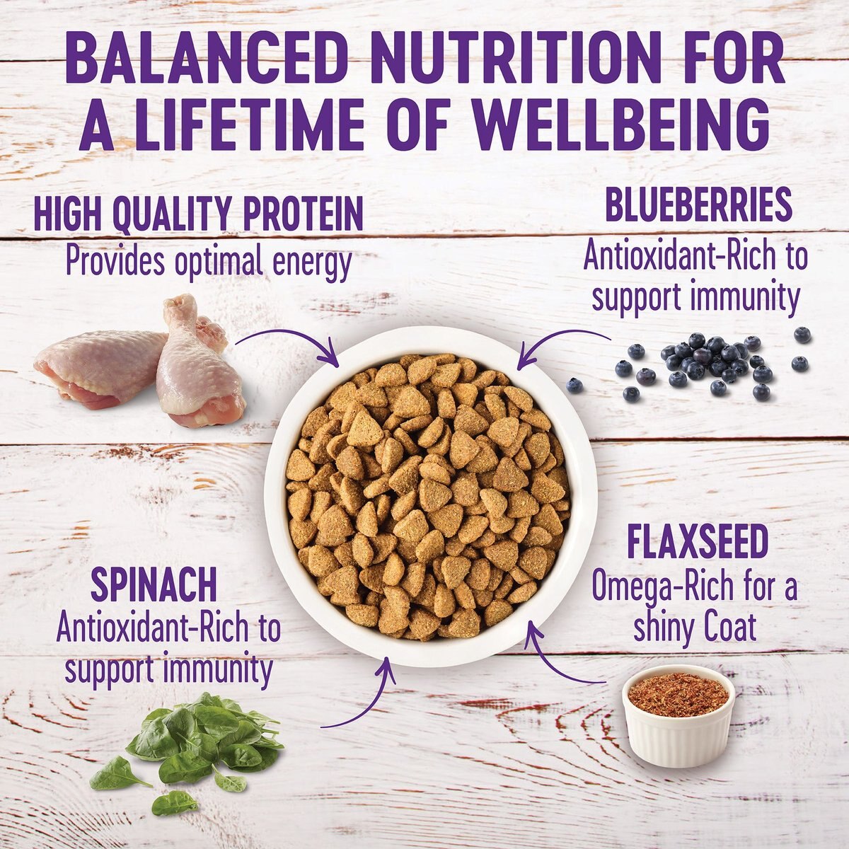 Wellness Grain-Free Complete Health Large Breed Adult Deboned Chicken and Chicken Meal Recipe Dry Dog Food