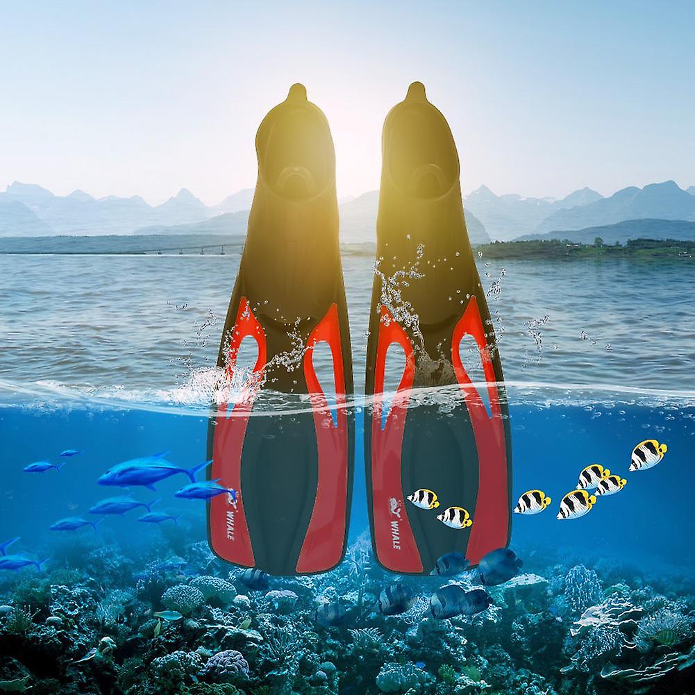 WHALE 1 Pair Adults Water Sports Snorkeling Diving Rubber Swimming Foot Fins (S)