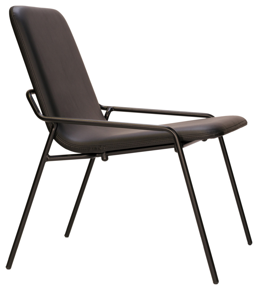 Dupont Easy Chair   Midcentury   Armchairs And Accent Chairs   by 212 Concept  Houzz