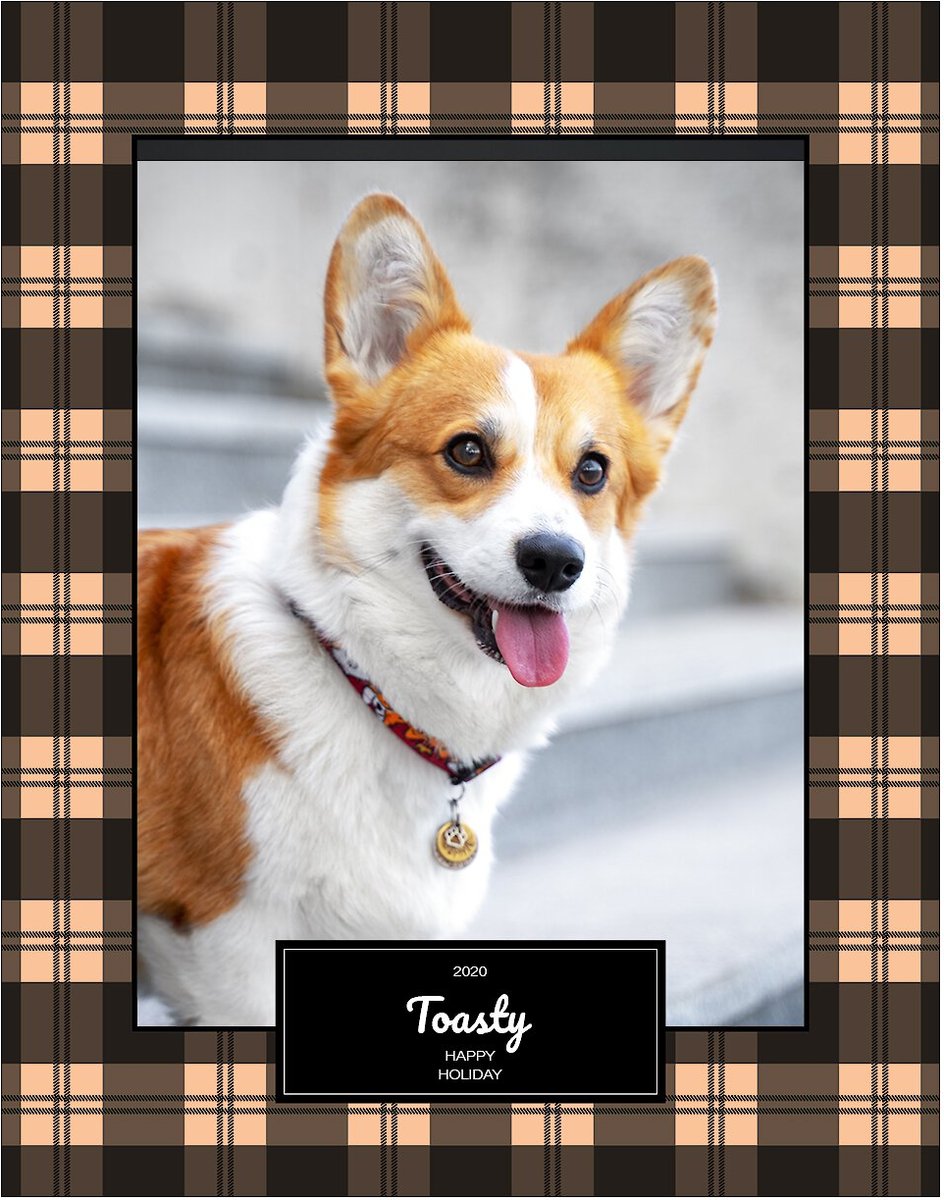 Frisco Personalized Plaid Photo Puzzle