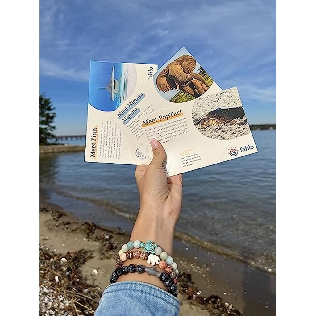 Fahlo  The Voyage Bracelet in Lava Stone- Shark-Tracking Bracelet