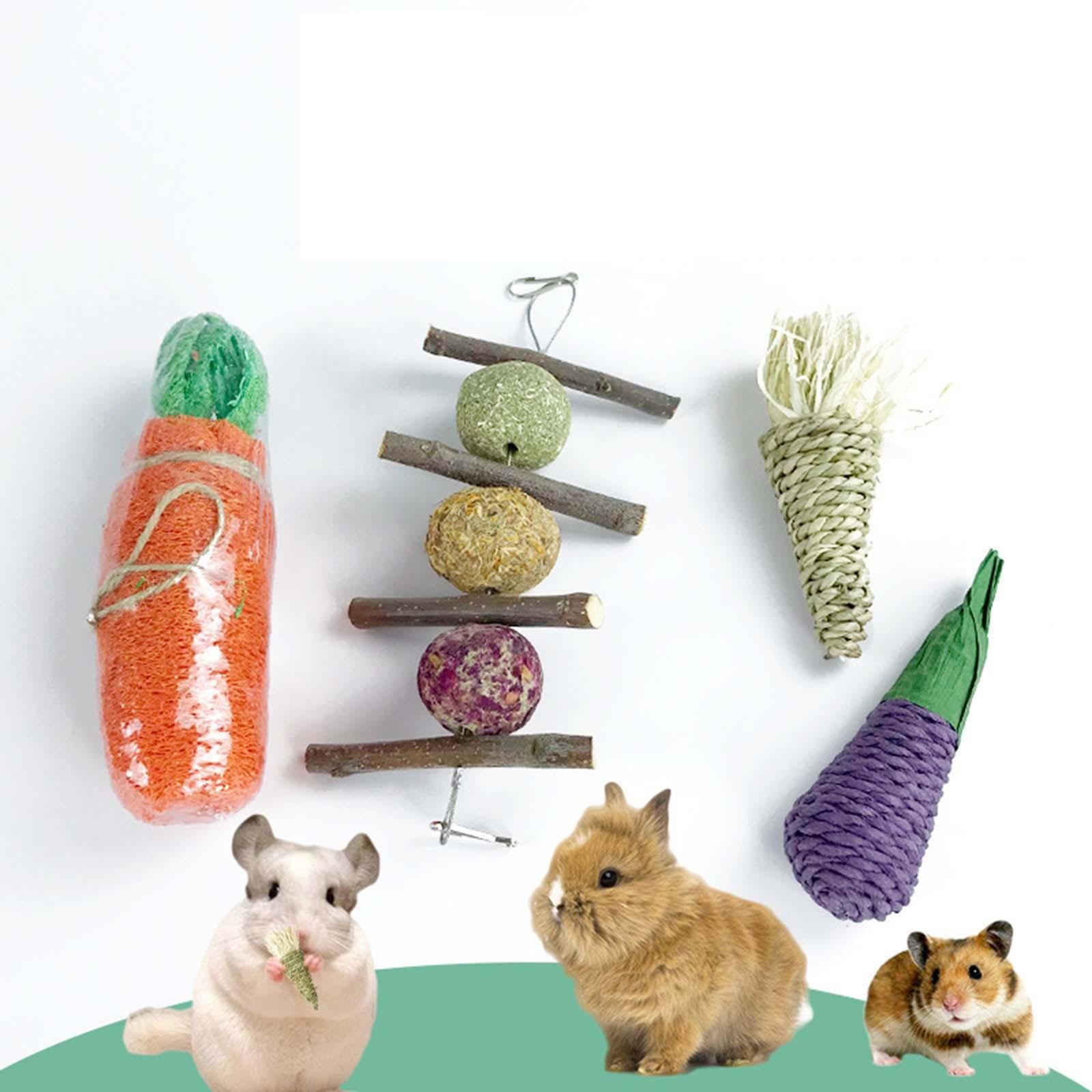 4x Rabbit Chew Toys Sticks Cage Hanging Radish Molar Bunny