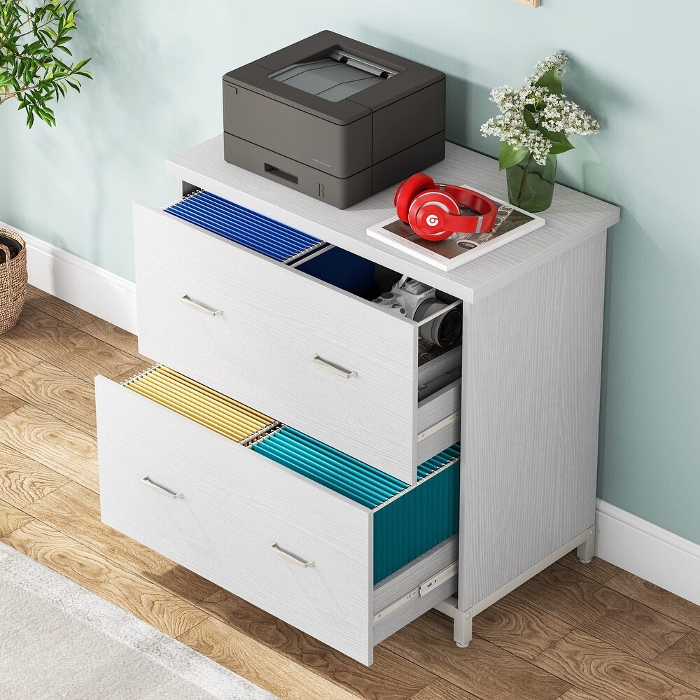 2 Drawer File Cabinet for Home Office  Letter Size