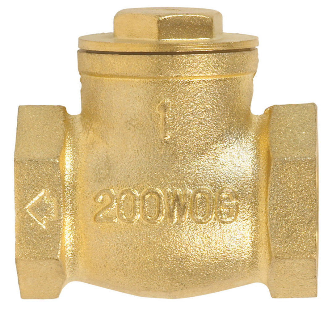 SWING CHECK VALVE 1