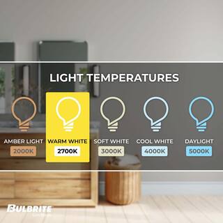 Bulbrite 40-Watt Equivalent T9 Clear Dimmable Edison LED Light Bulb Warm White (2-Pack) 861365