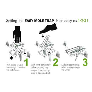 OAK HILL UNLIMITED Easy Mole Trap Step-To-Set Metal Mole Trap ATH-EMT