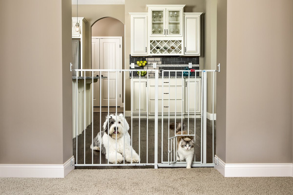 Carlson Pet Products Maxi Walk-Thru Gate with Small Pet Door