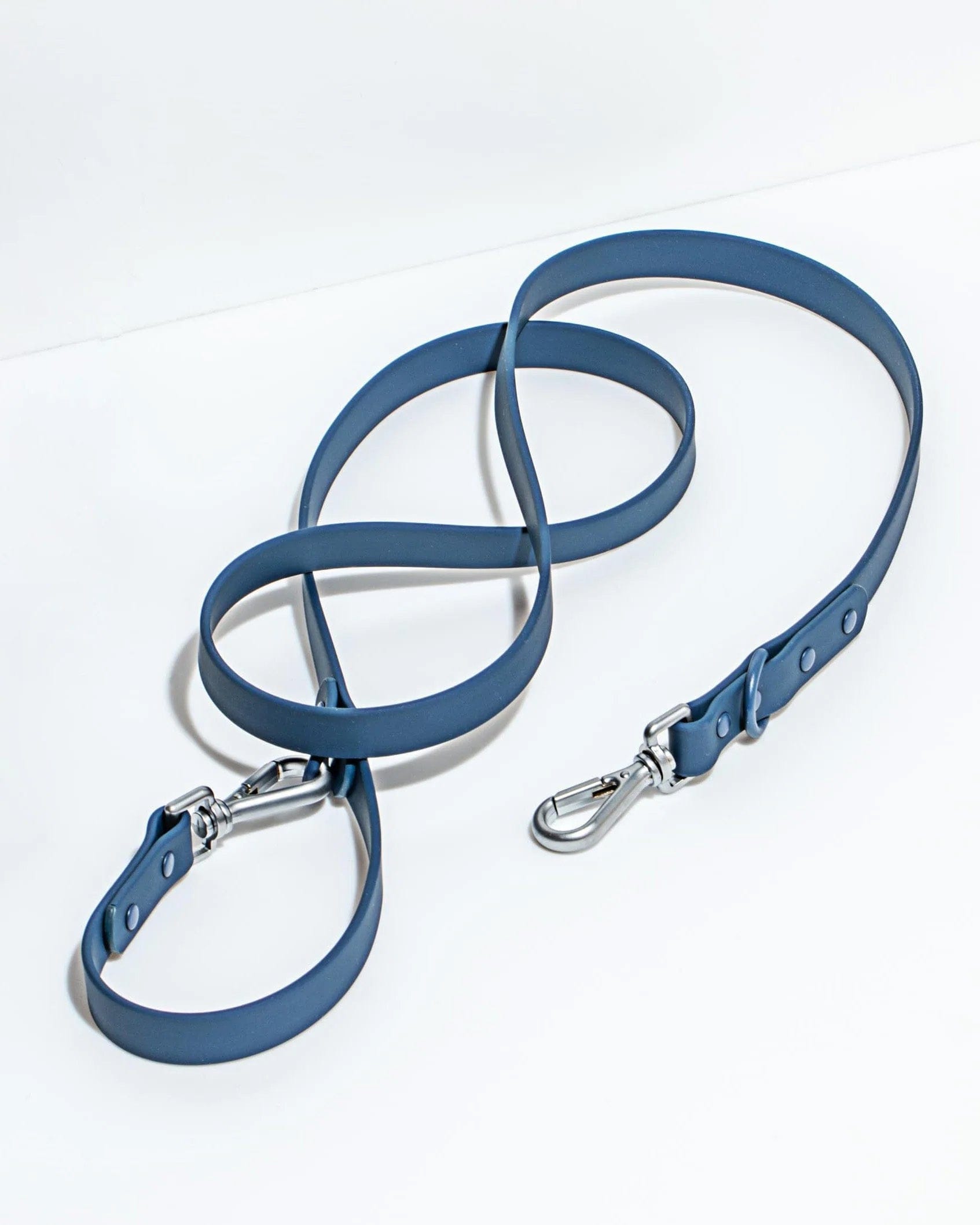 Wild One Leash