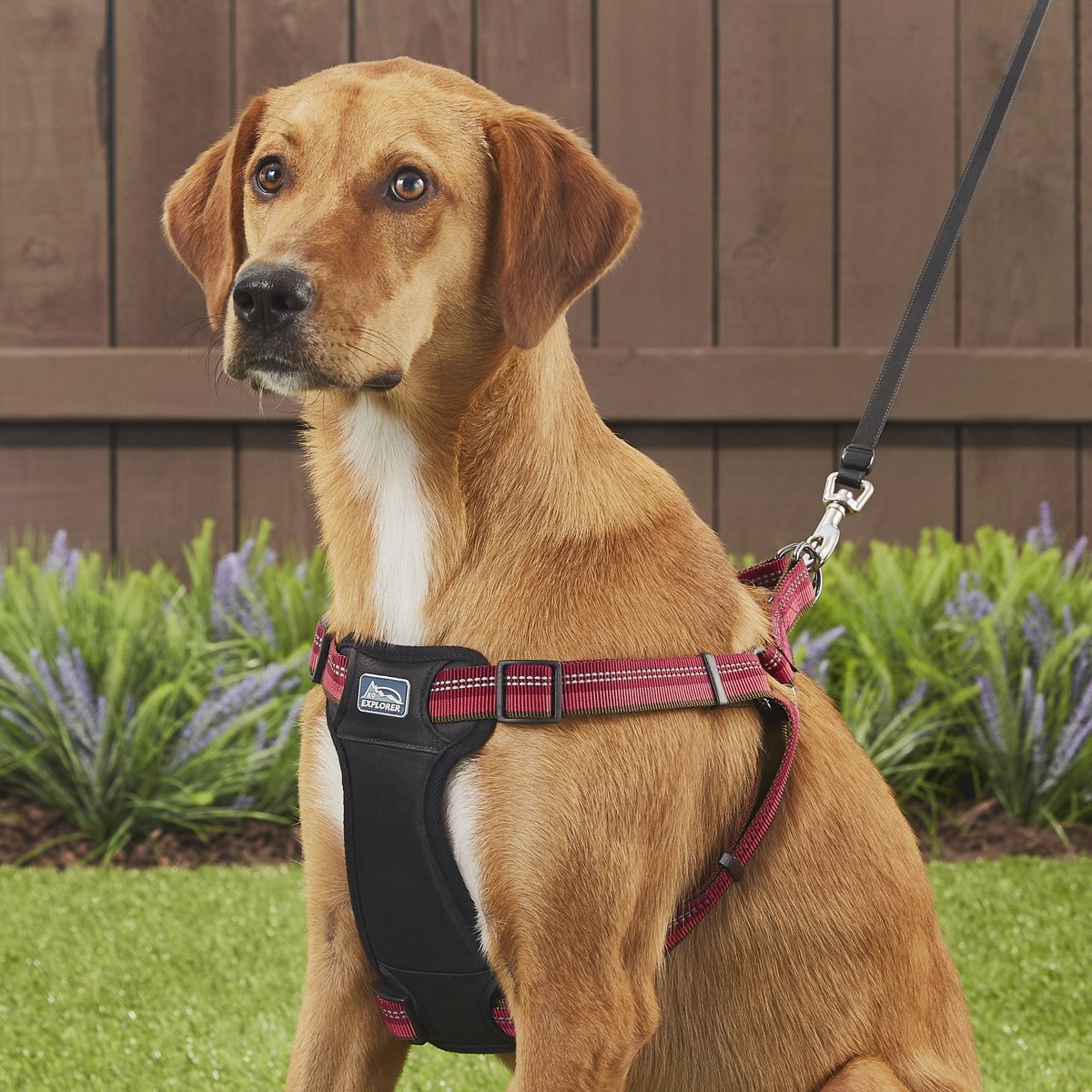 K9 Explorer Reflective Adjustable Padded Dog Harness