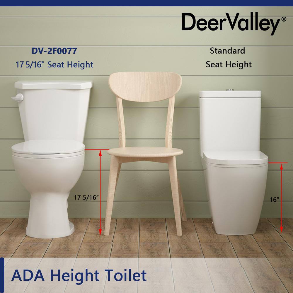 DEERVALLEY Single flush 10 in. Rough-In 2-Piece Round 1.6 GPF Toilet Map Flush 1000g Soft Closed Seat Included DV-2F0077