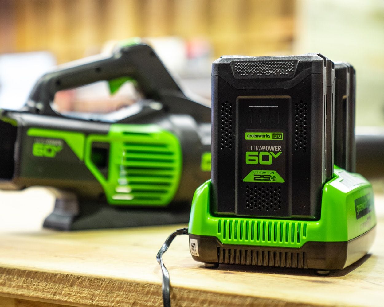 60V 6 Amp UltraPower Dual-Port Charger | Greenworks Tools