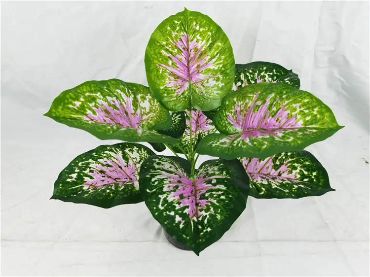 YD8735 4 Wholesale promotion Caladium bicolor (Ait.) Vent. ornamental foliage artificial plants bonsai