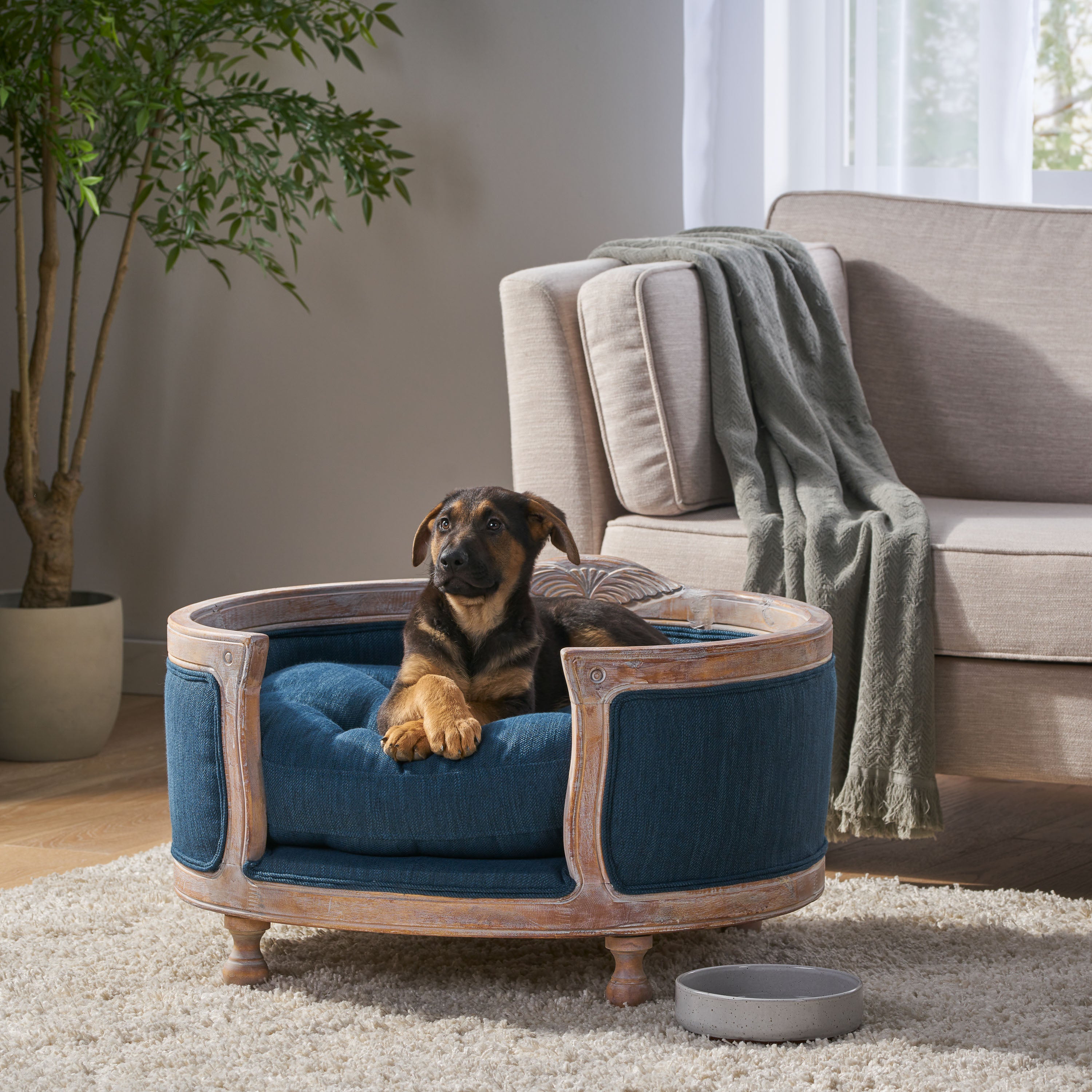 Burgos Contemporary Upholstered Medium Pet Bed with Wood Frame