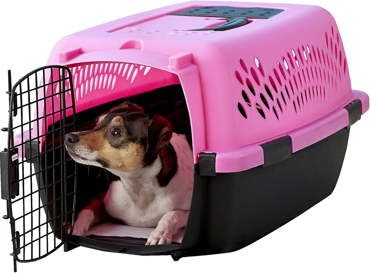 Aspen Pet Dog and Cat Kennel， Color Varies