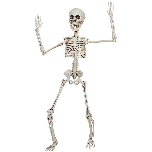 Morris Costumes SS89504 19 Poseable Skeleton Deco...