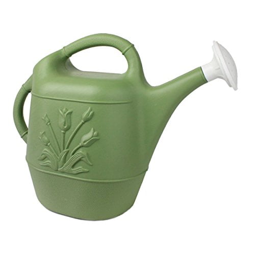 Union 63068 Watering Can with Tulip Design， 2 Gallon， Sage Green