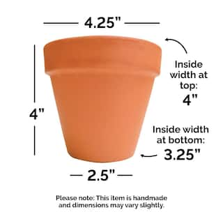 Pennington 4.25 in. Small Terra Cotta Clay Pot 100043011