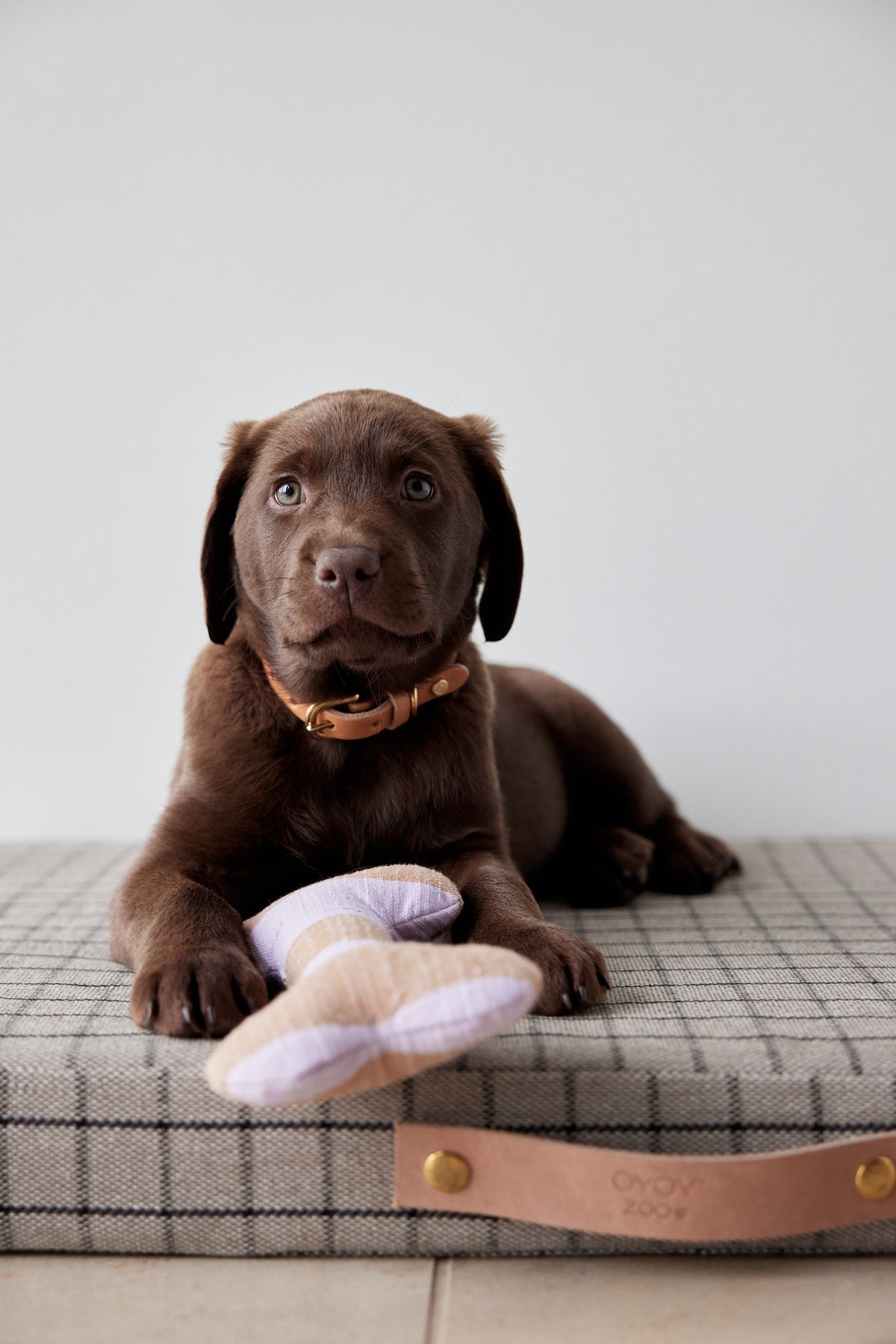 Ashi Dog Toy - Lavender/Amber