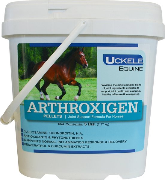 Uckele Arthroxigen Joint Support Formula Pellets Horse Supplement， 5-lb bucket