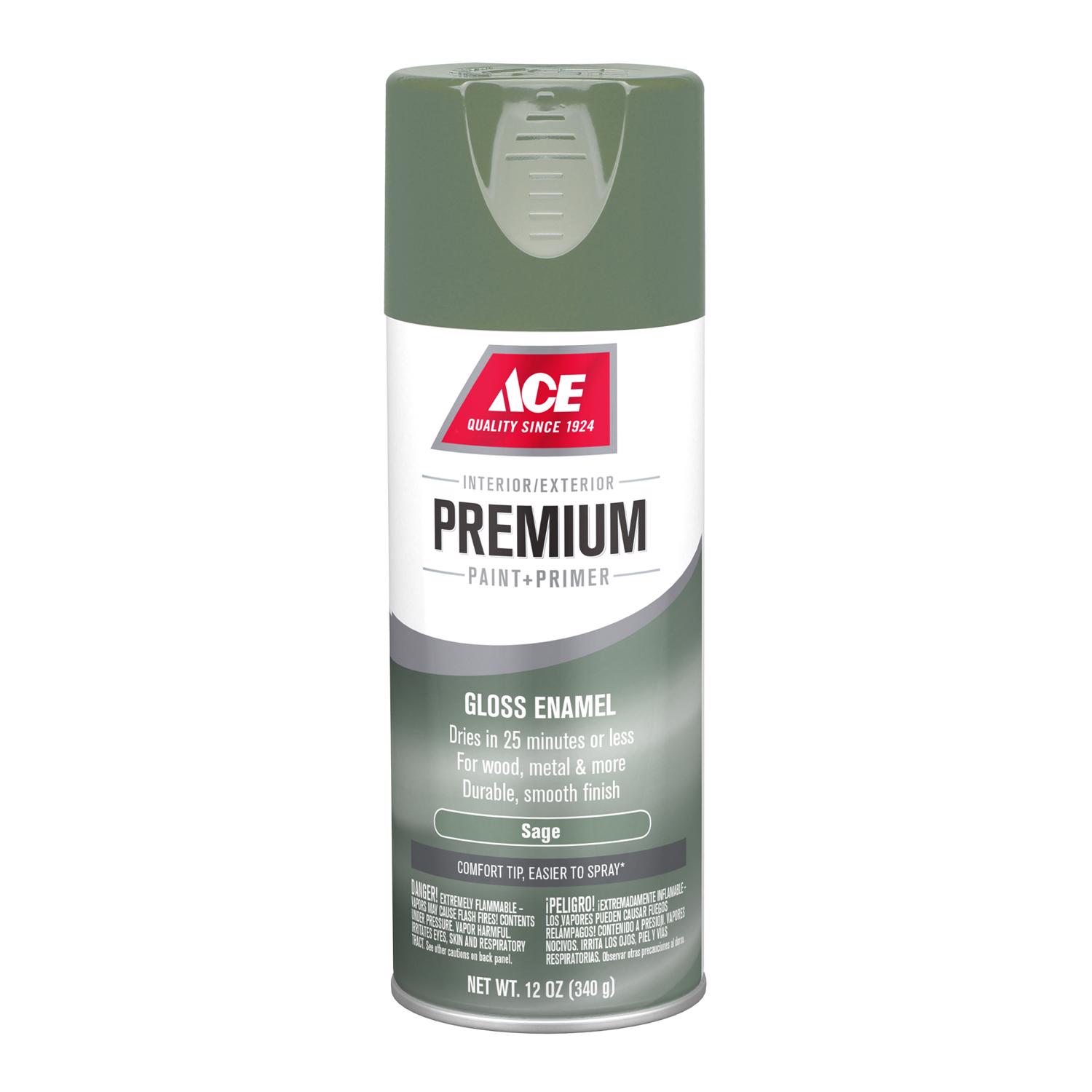 Ace Premium Gloss Sage Paint + Primer Enamel Spray 12 oz