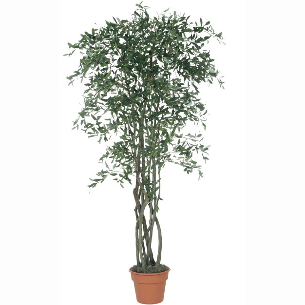 Sullivans Artificial Olive Tree 84