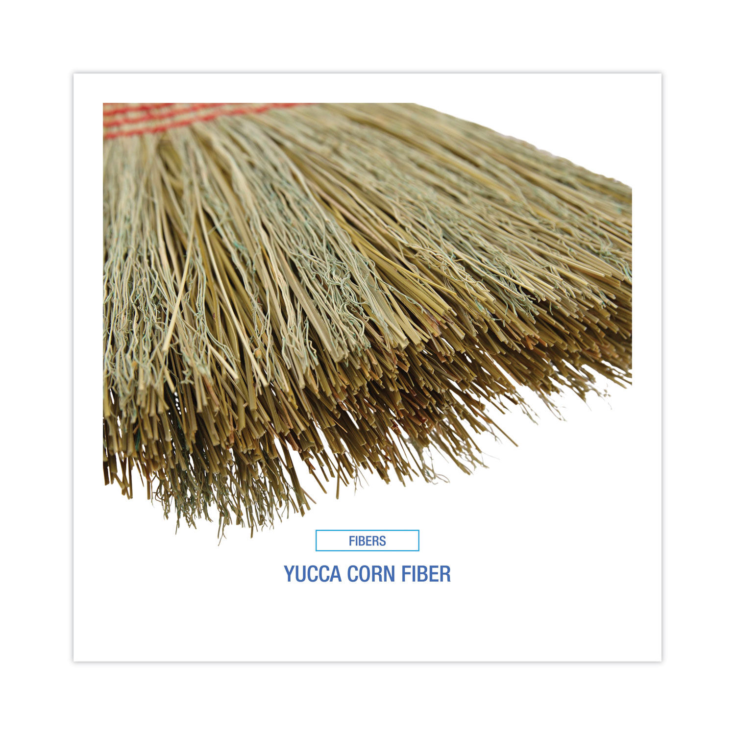 Parlor Broom by Boardwalkandreg; BWK926YEA