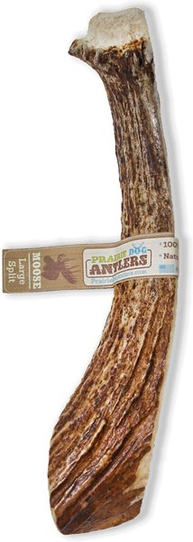 Prairie Dog Split Moose Antler Dog Chews， 8 - 9.5 inch