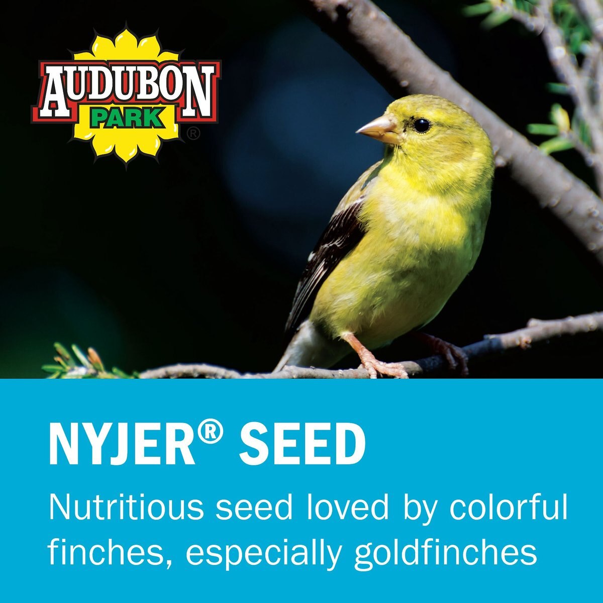 Audubon Park Nyjer Seed Wild Bird Food