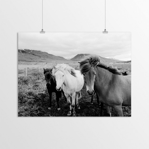 Americanflat Animal Landscape Farm Horses Black And White By Nuada Poster