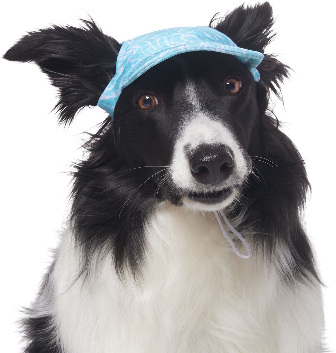 Frisco Blue Ocean Waves 30 + UPF Dog and Cat Beach Cap