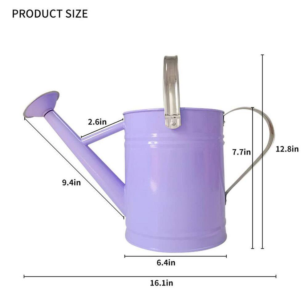 Dyiom 1 Gal. Purple Metal Watering Can B0B4JQ8GDS