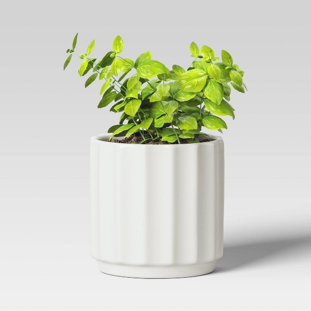 Geared Terracotta Indoor Outdoor Planter Pot