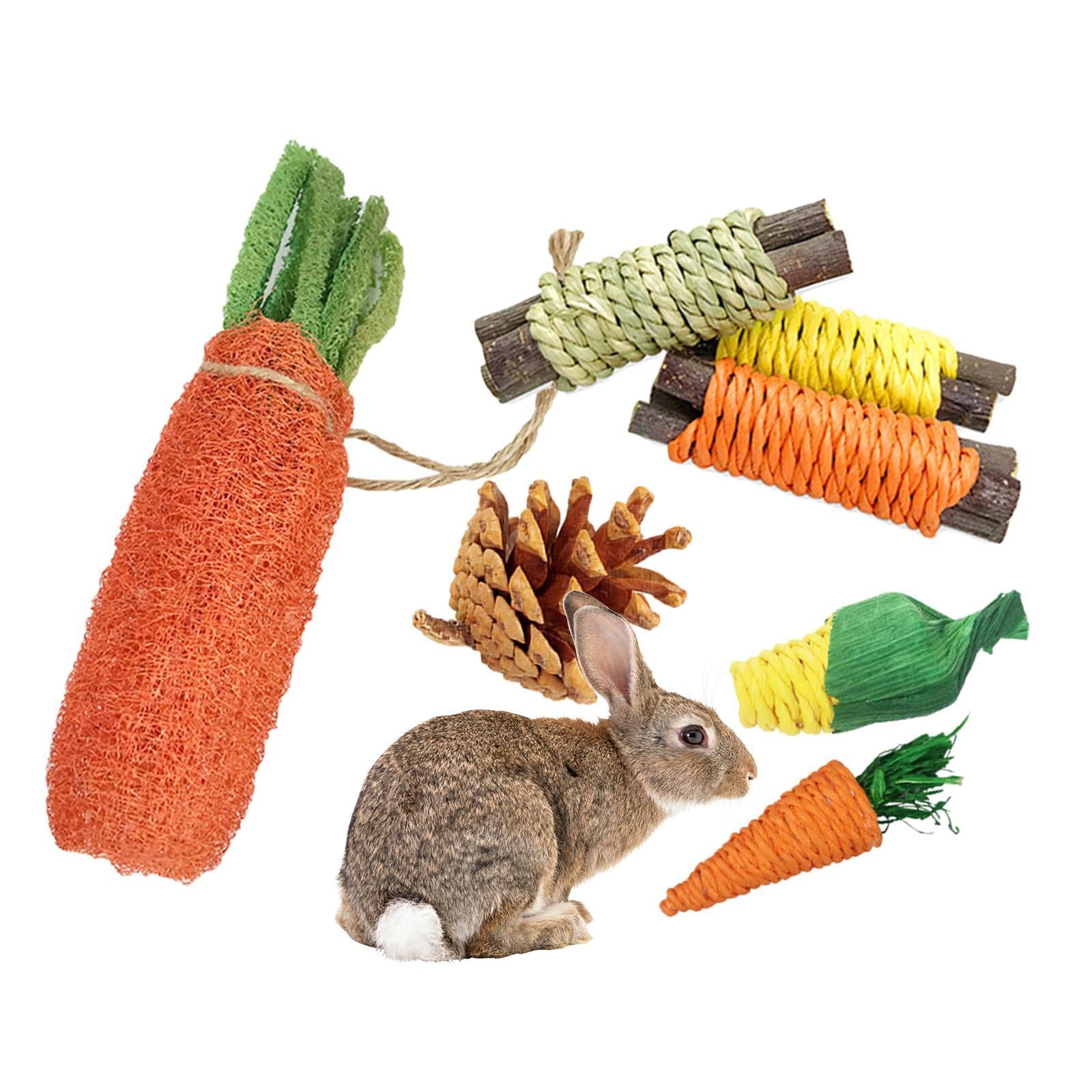 7x Hamster Chew Toys， Pet Bunny Chew Toys， Natural Guinea Rabbit Toys Accessories， Care Molar Toy for Rabbits Gerbils Rats Chinchillas