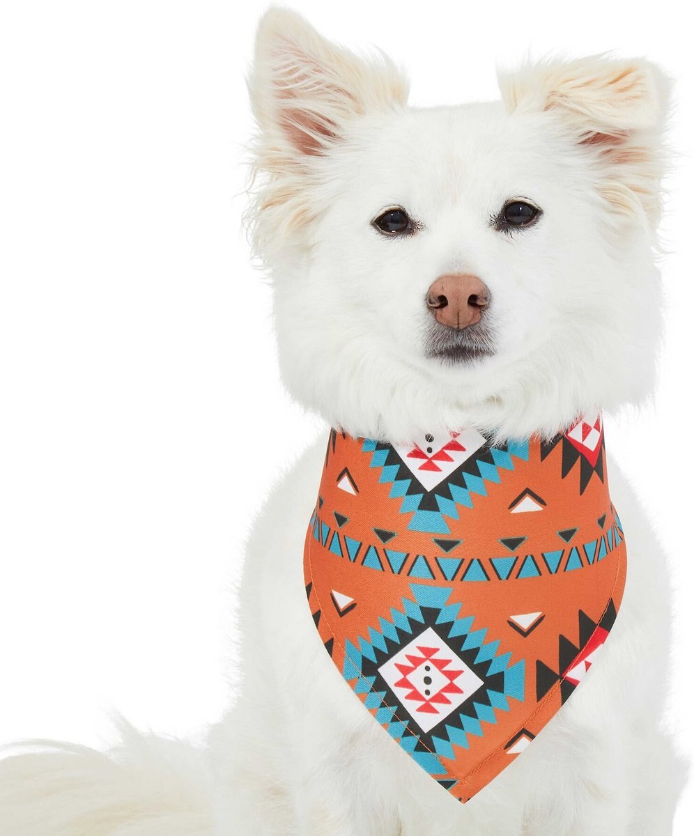 Frisco Southwest Dog and Cat Bandana