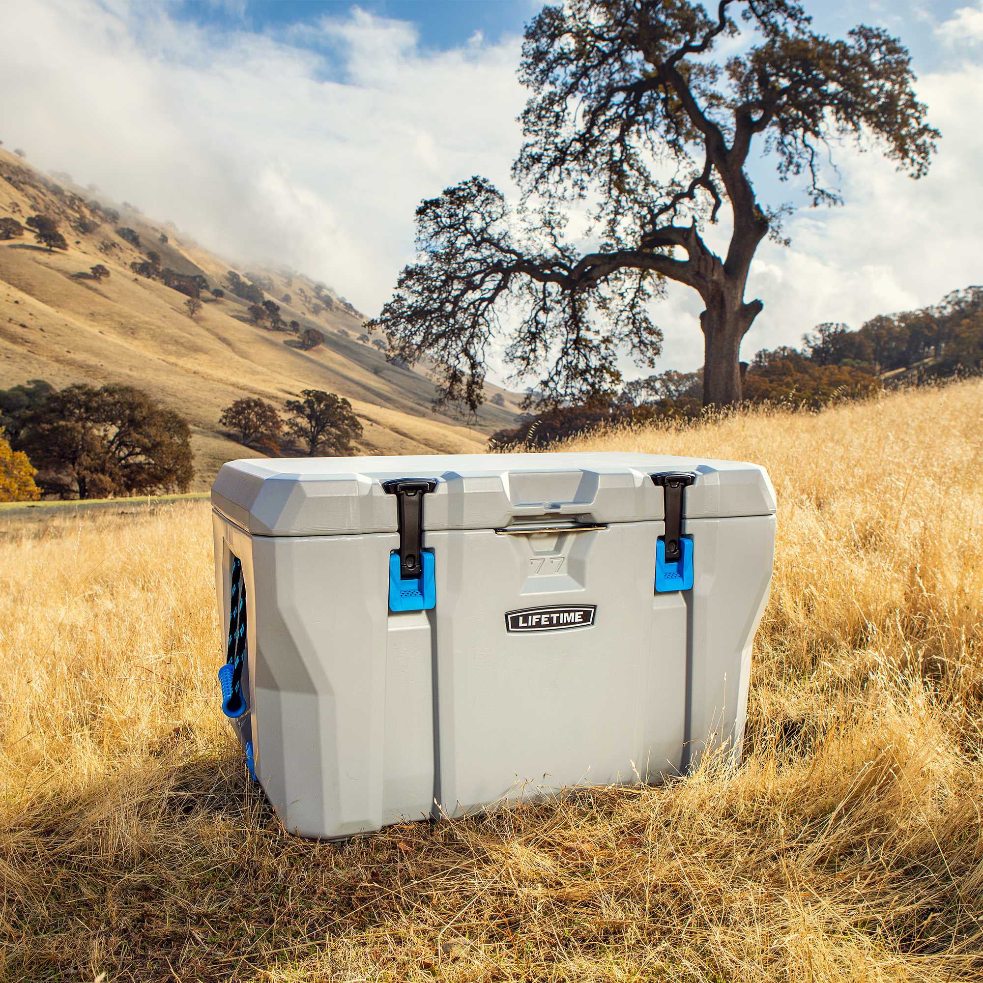 Lifetime 77 Quart High Performance Cooler (90903)