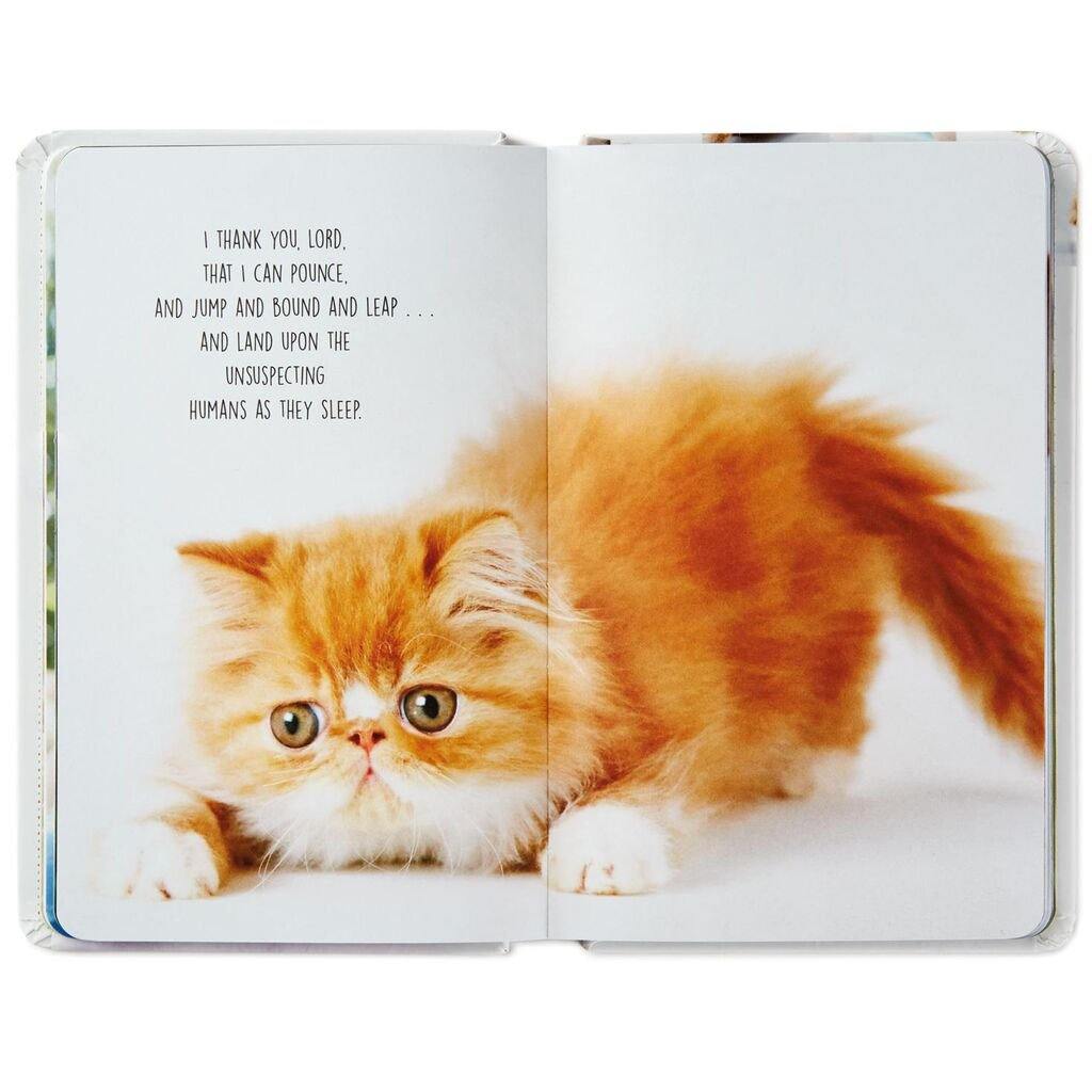 Hallmark  Pet Prayers Funny Pleas and Praise From Our Animal Friends Book