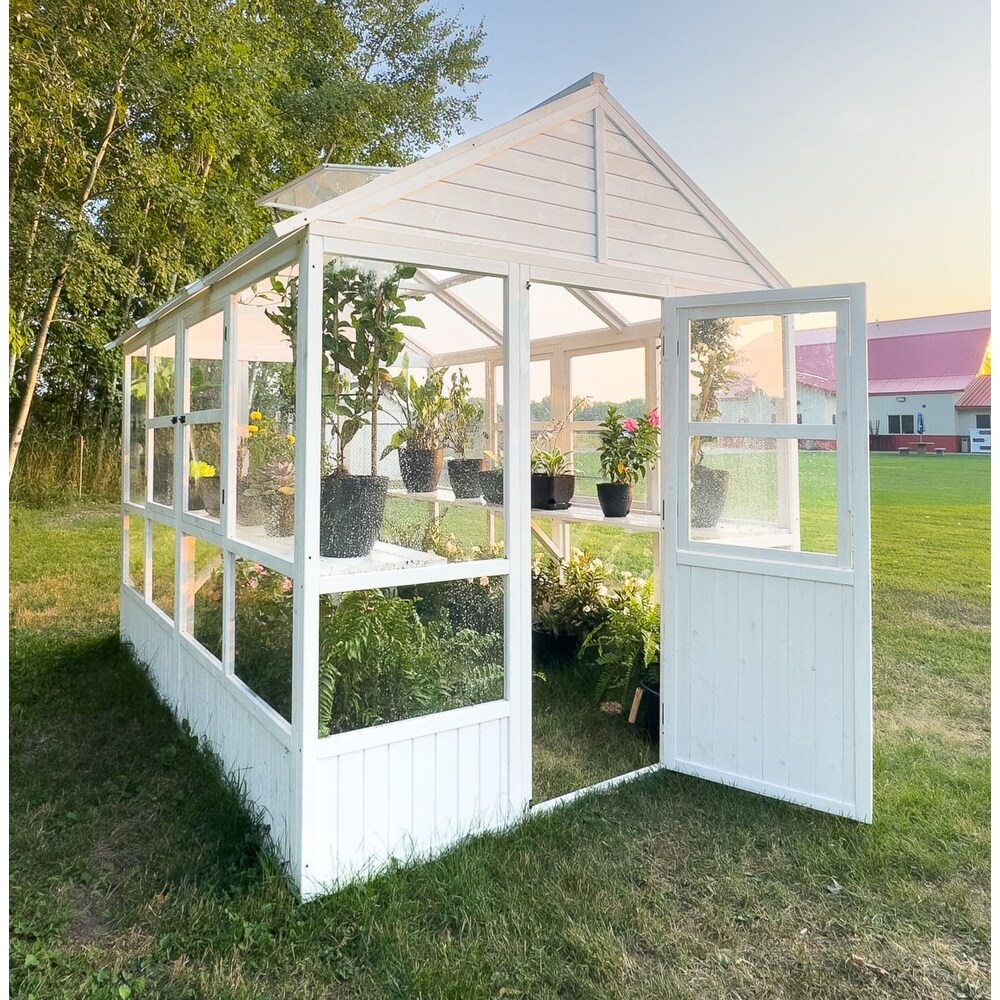Zylina XL Hobby Greenhouse   103 x 78 x 89