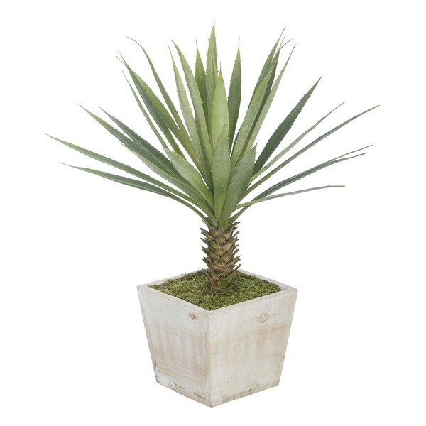 Faux Baby Yucca in Washed Wood Cube Planter