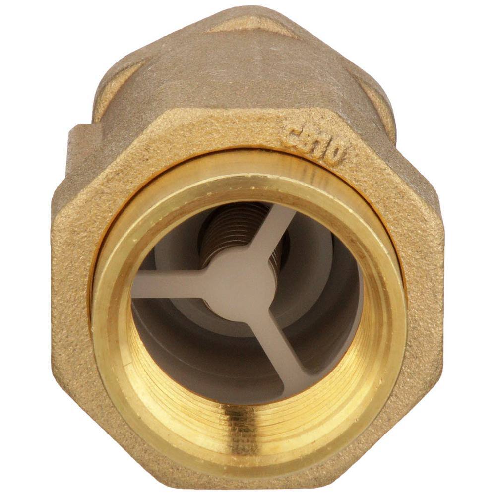 Zurn 1 in. Dual Check Valve with 1 in. Male Inlet x 1 in. Union Female Outlet 1MX1UF-700XL