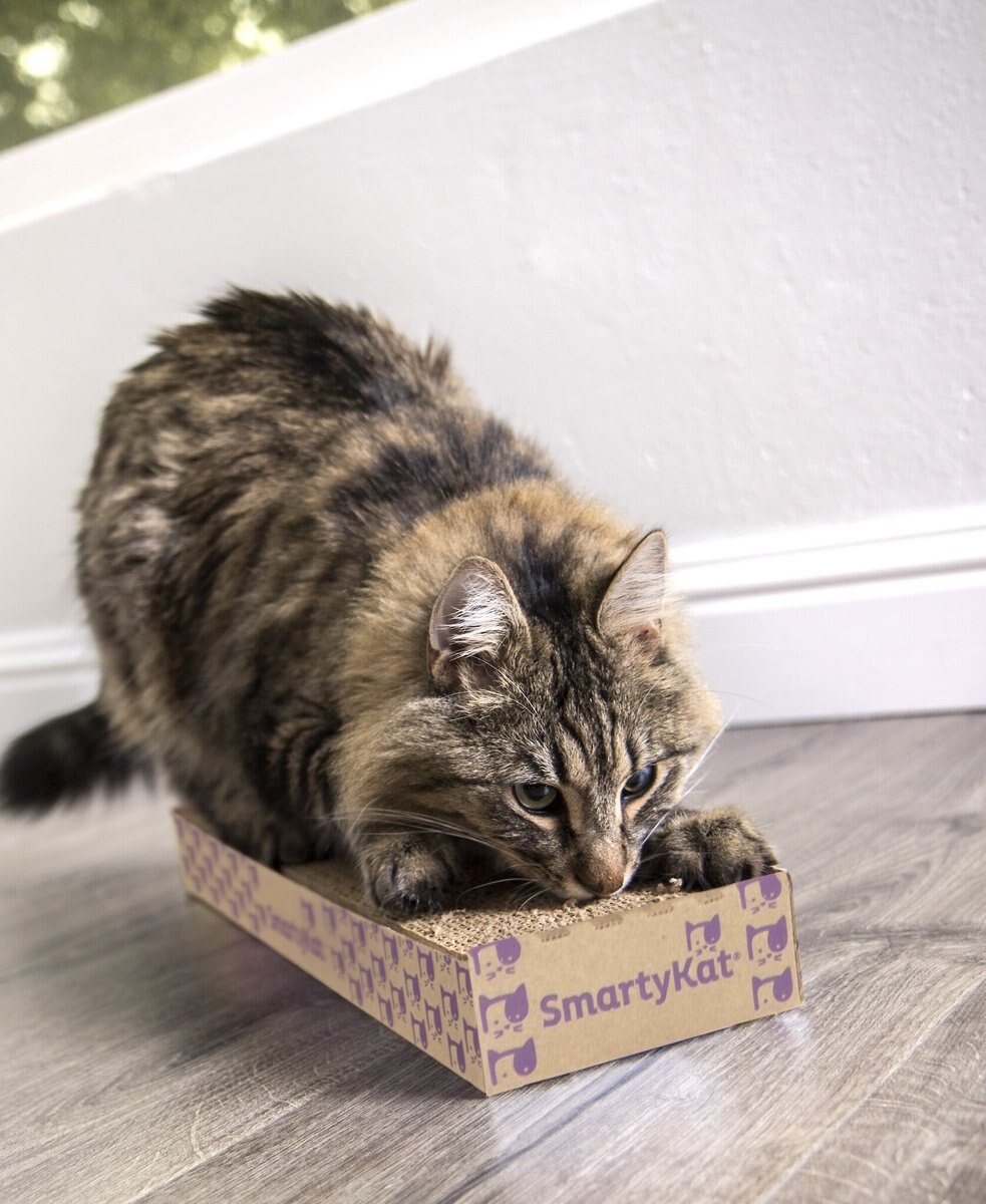 SmartyKat Super Scratcher with Catnip Cat Scratcher